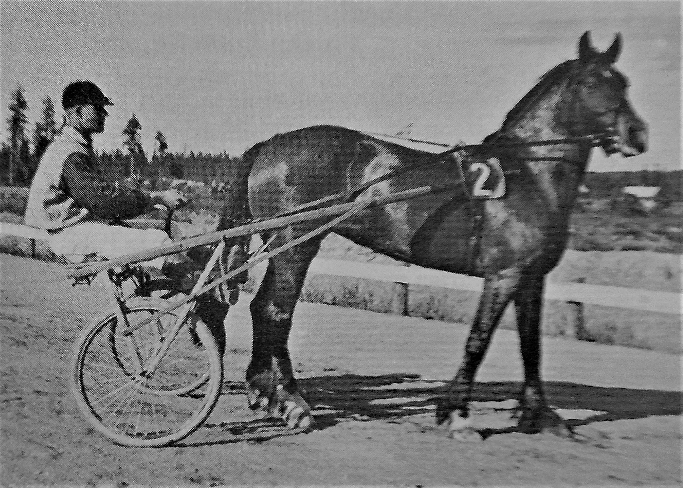  Foto: Travare och hästfolk i Jämtland 1883-1983. 