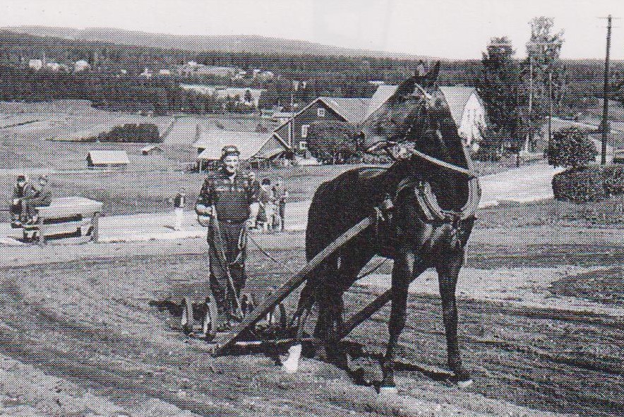  Fotot hämtat ur boken 'Häskarlar från Hälsingland' av Yngve Aronsson. 